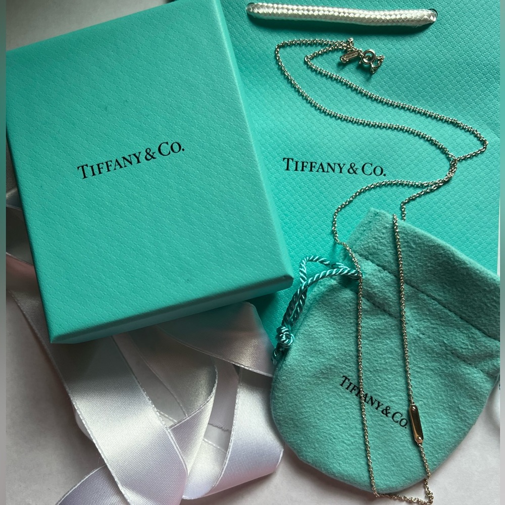Tiffany and Co 30 Inch Mini Tag Necklace